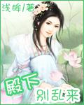 殿下,别乱来