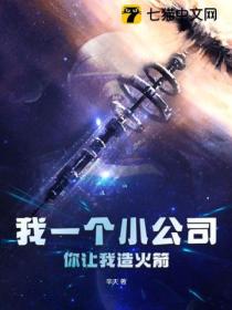 我一个小公司,你让我造火箭？