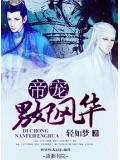 帝宠,男妃风华